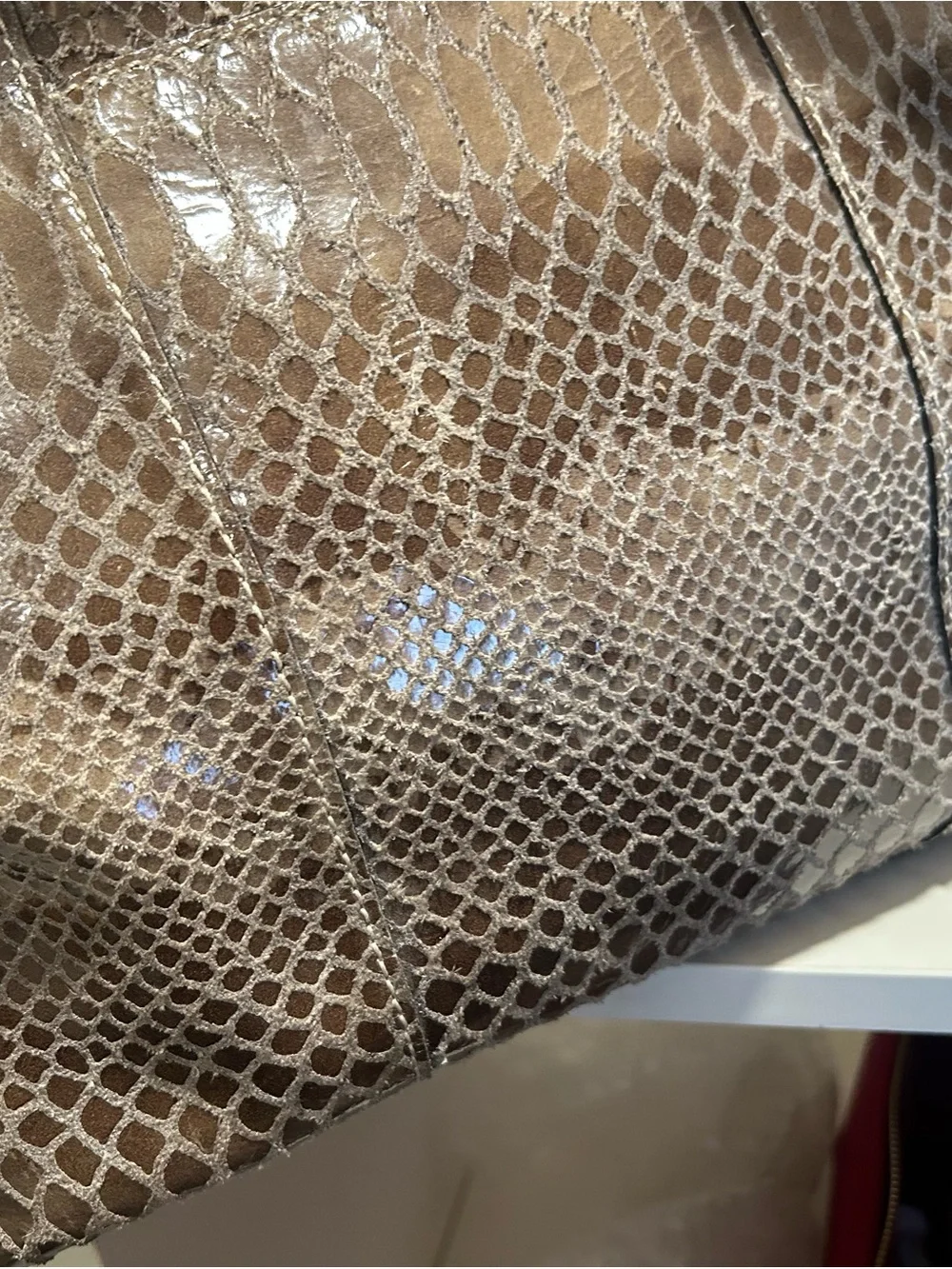 Dooney & Bourke dooney bourke